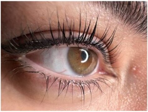 Microblading Service
